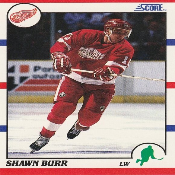 Shawn Burr Hockey Card Collection - Picture 6 of 6